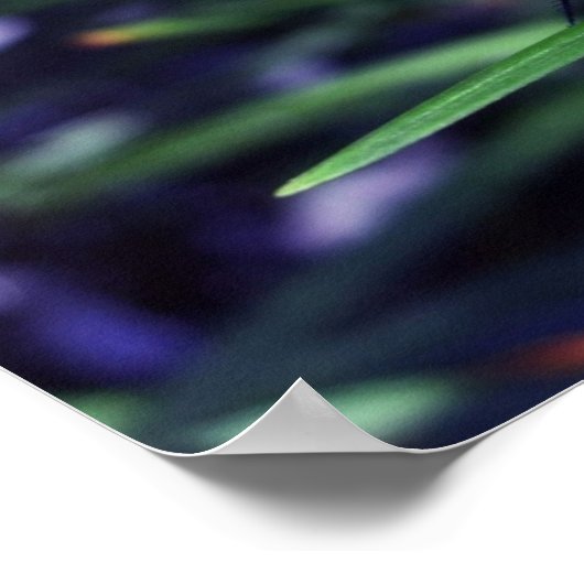 Blaue Libelle Poster (Ecke)