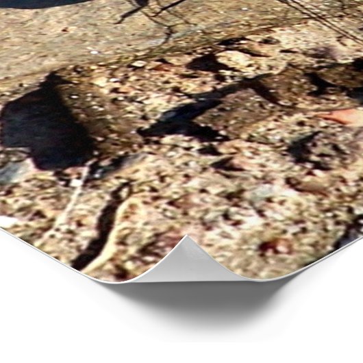 Blaue Libelle Poster (Ecke)