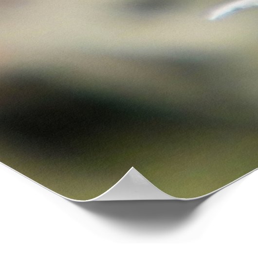 Blaue Libelle Poster (Ecke)