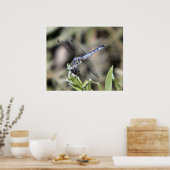 Blaue Libelle Poster (Küche)