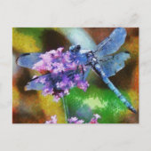 Blaue Libelle Postkarte (Vorderseite)