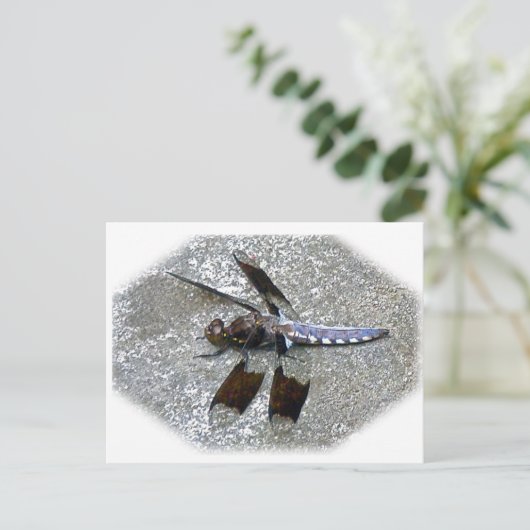 Blaue Libelle Postkarte (Stehend Vorderseite)