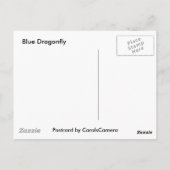 Blaue Libelle Postkarte (Rückseite)