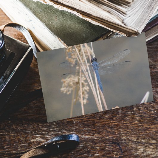 Blaue Libelle Postkarte