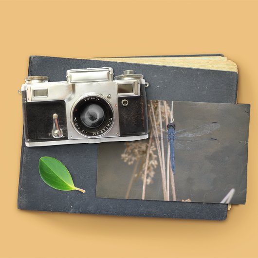 Blaue Libelle Postkarte