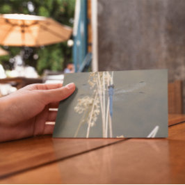 Blaue Libelle Postkarte