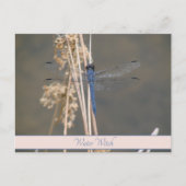 Blaue Libelle Postkarte (Vorderseite)