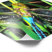 Blaue Libelle schimmernde Wings Painting Fotodruck (Ecke)