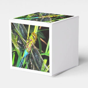 Blaue Libelle schimmernde Wings Painting Geschenkschachtel