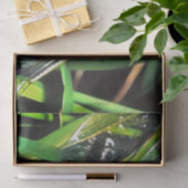 Blaue Libelle schimmernde Wings Painting Seidenpapier (Geschenk)