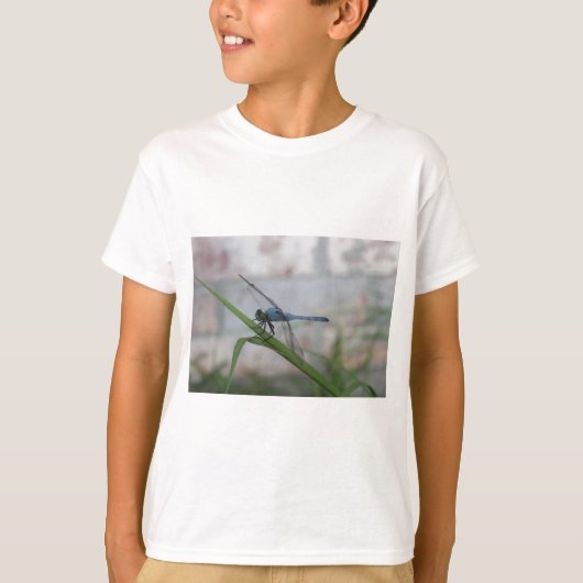 Blaue Libelle T-Shirt (Vorderseite)