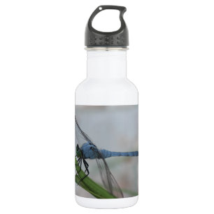 Blaue Libelle Trinkflasche