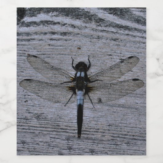 Blaue Libelle Weinetikett (Einzelnes Label)