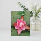 Blaue Libellen auf einer rosa Lotus-Blume Postkarte (Stehend Vorderseite)