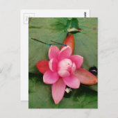 Blaue Libellen auf einer rosa Lotus-Blume Postkarte (Vorne/Hinten)