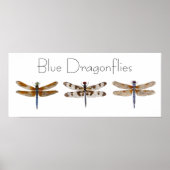 Blaue Libellen Poster (Vorne)