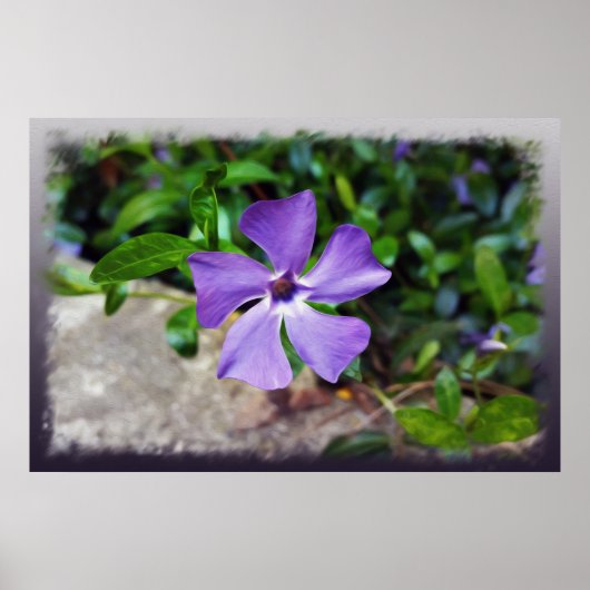 Blaue lila Blätter Poster (Vorne)