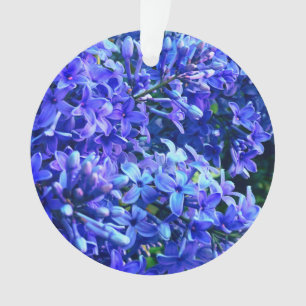 Blaue lila Flieder romantische blaue Blumenfoto Ornament