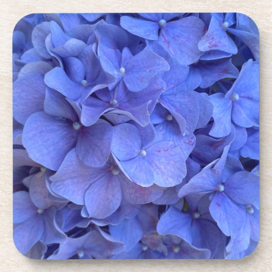 Blaue lila Hydrangeas-Blüten Getränkeuntersetzer (Vorderseite)