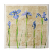 Blaue Lila Iris Blume Brauner Hintergrund Blumenbe Fliese (Vorderseite)