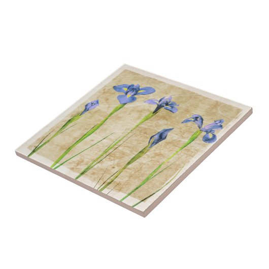 Blaue Lila Iris Blume Brauner Hintergrund Blumenbe Fliese (Seite)