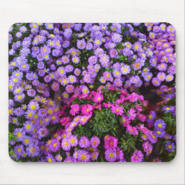 Blaue Lila rosa Mums Mousepad