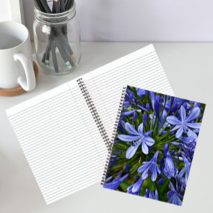 Blaue Lilie des Nils Agapanthus Floral Notizblock