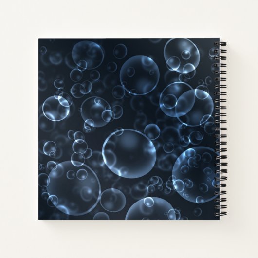 Blaue Linsen, Buch (Rückseite)