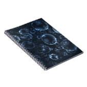 Blaue Linsen, Buch (Rechte Seite)