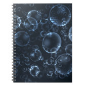 Blaue Linsen, Buch (Vorderseite)