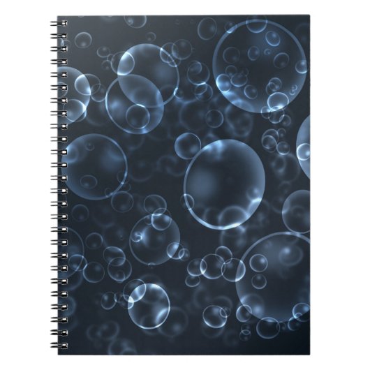 Blaue Linsen, Buch (Vorderseite)