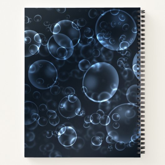 Blaue Linsen, Buch (Rückseite)