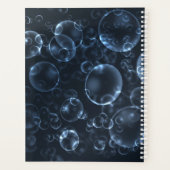 Blaue Linsen, Buch Planer (Rückseite)