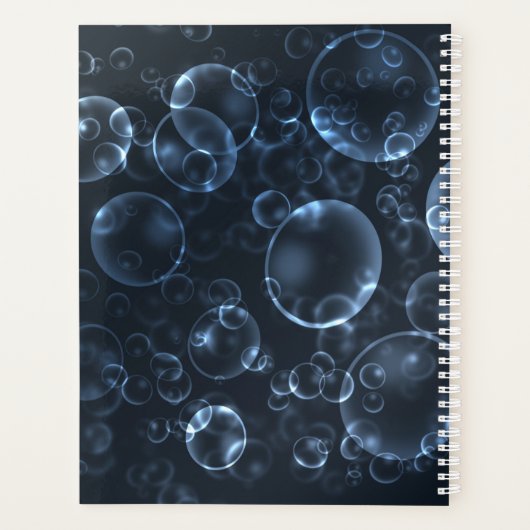 Blaue Linsen, Buch Planer (Rückseite)