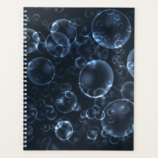 Blaue Linsen, Buch Planer (Vorderseite)