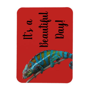 Blaue Lizard, schöner Tag, Rotes Magnet