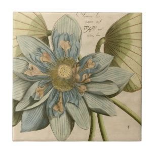 Blaue Lotusblume auf beigem Hintergrund mit Schrif Fliese
