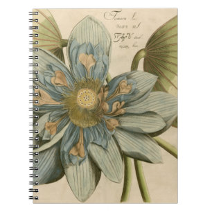 Blaue Lotusblume auf beigem Hintergrund mit Schrif Notizblock