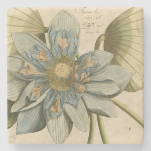Blaue Lotusblume auf braunem Hintergrund mit Schri Steinuntersetzer