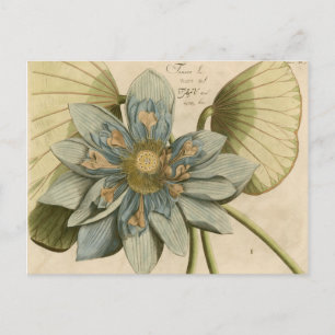 Blaue Lotusblüte auf braunem Hintergrund mit Schri Postkarte