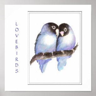Blaue Lovebirds - Vogel Print Poster