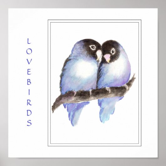 Blaue Lovebirds - Vogel Print Poster (Vorne)