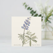 Blaue Lupine von Mary Walcott (Stehend Vorderseite)