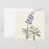 Blaue Lupine von Mary Walcott (Vorne/Hinten)