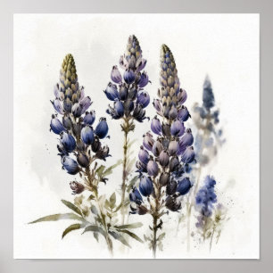 Blaue Lupinen-Blumen-Kunstposter Poster