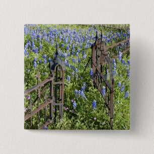 Blaue Lupinen und Phlox umgeben das Friedhofstor Button