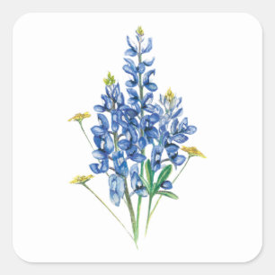 Blaue Lupinen und Wildblumen Quadratischer Aufkleber