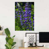 Blaue Lupines Poster (Heimbüro)