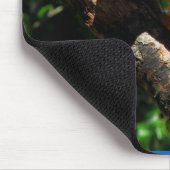 Blaue Macaw-Mausunterlage Mousepad (Ecke)