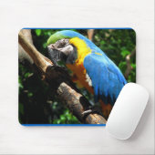 Blaue Macaw-Mausunterlage Mousepad (Mit Mouse)